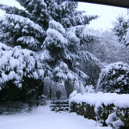 La Petite Maison * Six Planes